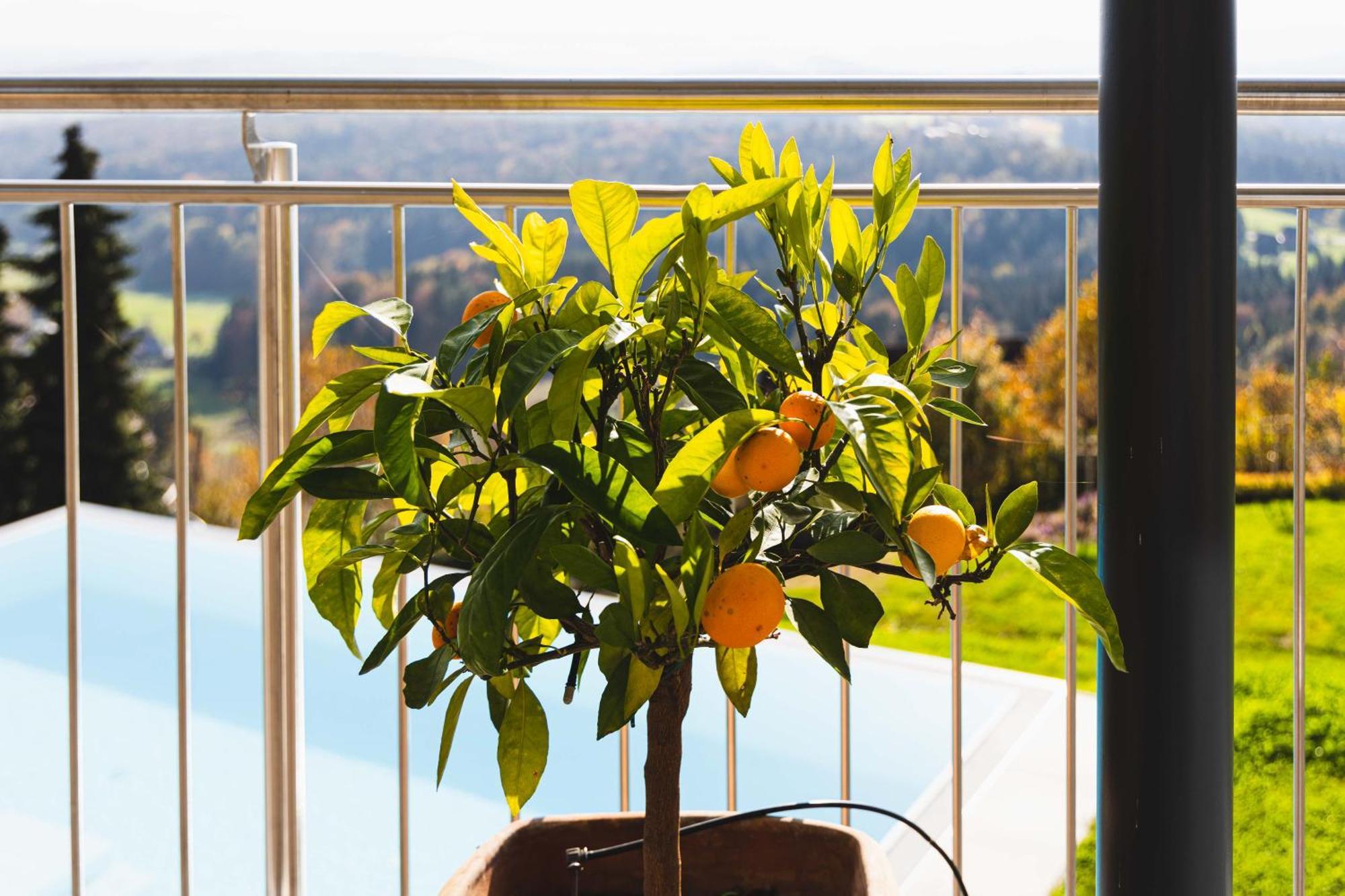 Greim15 --- Ganzes Ferienhaus Mit Fernsicht, Pool, Wellness Deutschlandsberg Ngoại thất bức ảnh